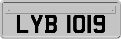 LYB1019