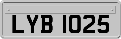 LYB1025