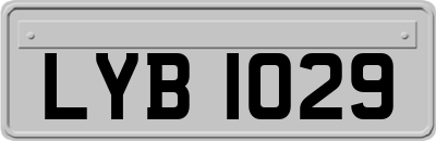 LYB1029