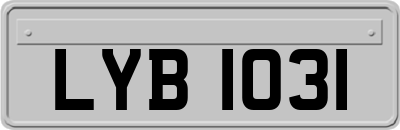LYB1031