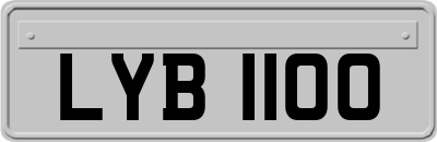 LYB1100