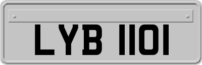 LYB1101