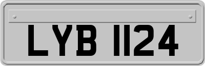 LYB1124