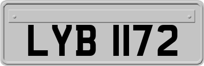 LYB1172