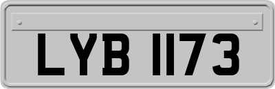 LYB1173