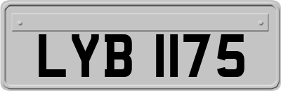 LYB1175