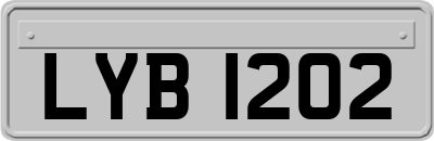 LYB1202