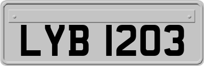 LYB1203