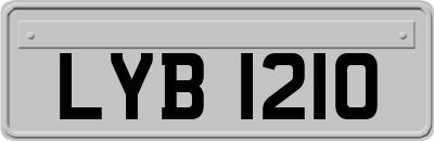 LYB1210