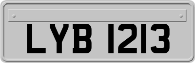LYB1213