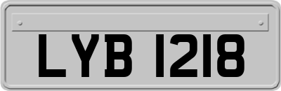 LYB1218
