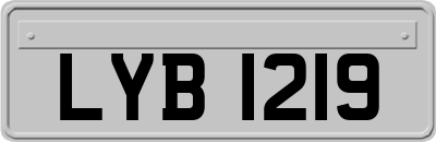 LYB1219