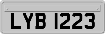 LYB1223