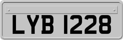 LYB1228