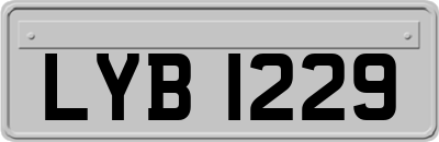 LYB1229