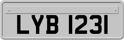 LYB1231