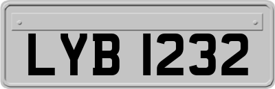 LYB1232