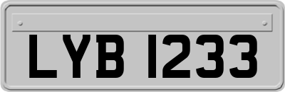 LYB1233