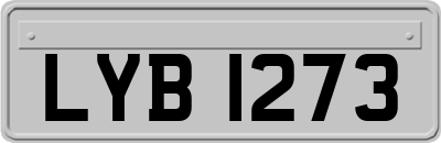 LYB1273