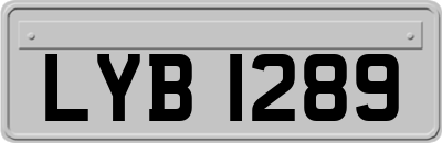 LYB1289