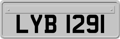 LYB1291