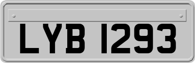LYB1293
