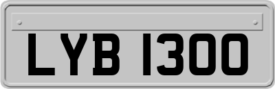 LYB1300
