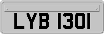 LYB1301