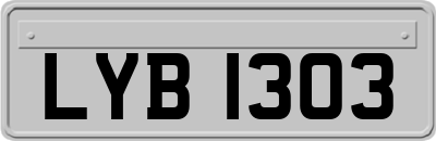 LYB1303