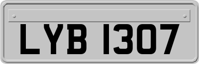 LYB1307