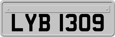 LYB1309