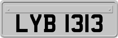 LYB1313