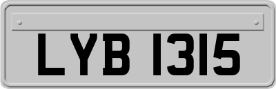 LYB1315