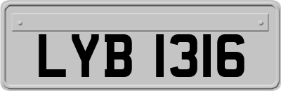LYB1316