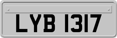 LYB1317