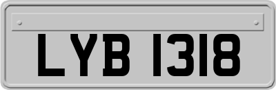LYB1318