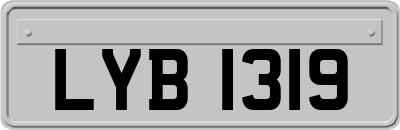 LYB1319