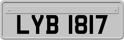 LYB1817