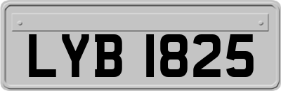 LYB1825
