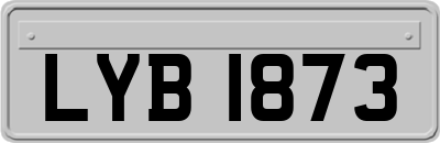 LYB1873