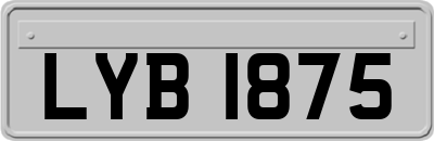 LYB1875