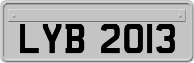 LYB2013