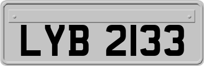 LYB2133