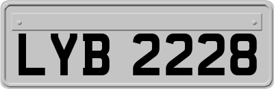 LYB2228