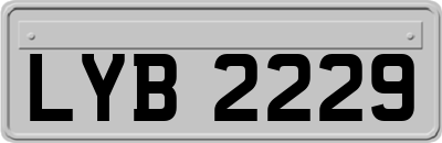 LYB2229