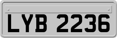 LYB2236