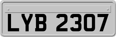 LYB2307