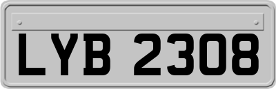 LYB2308