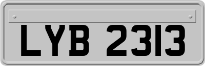LYB2313