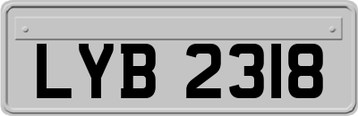 LYB2318